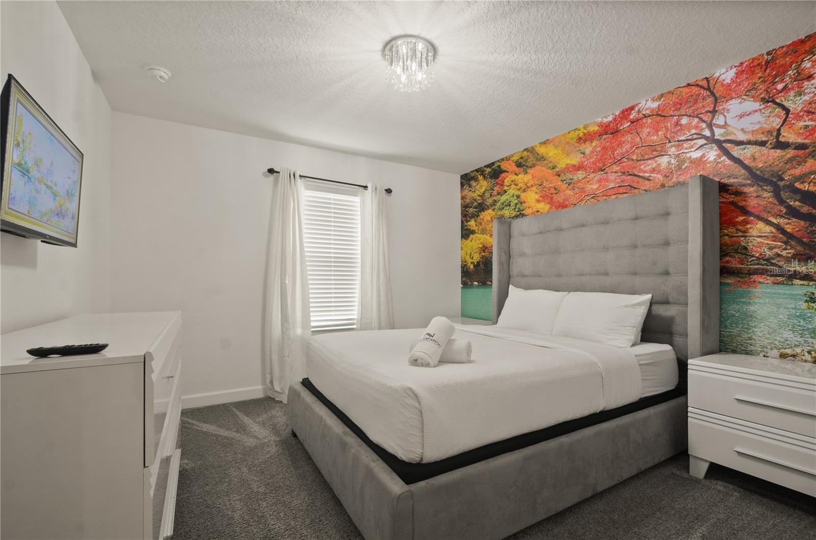 Image 14 of 19 For 4363 Scene Ln