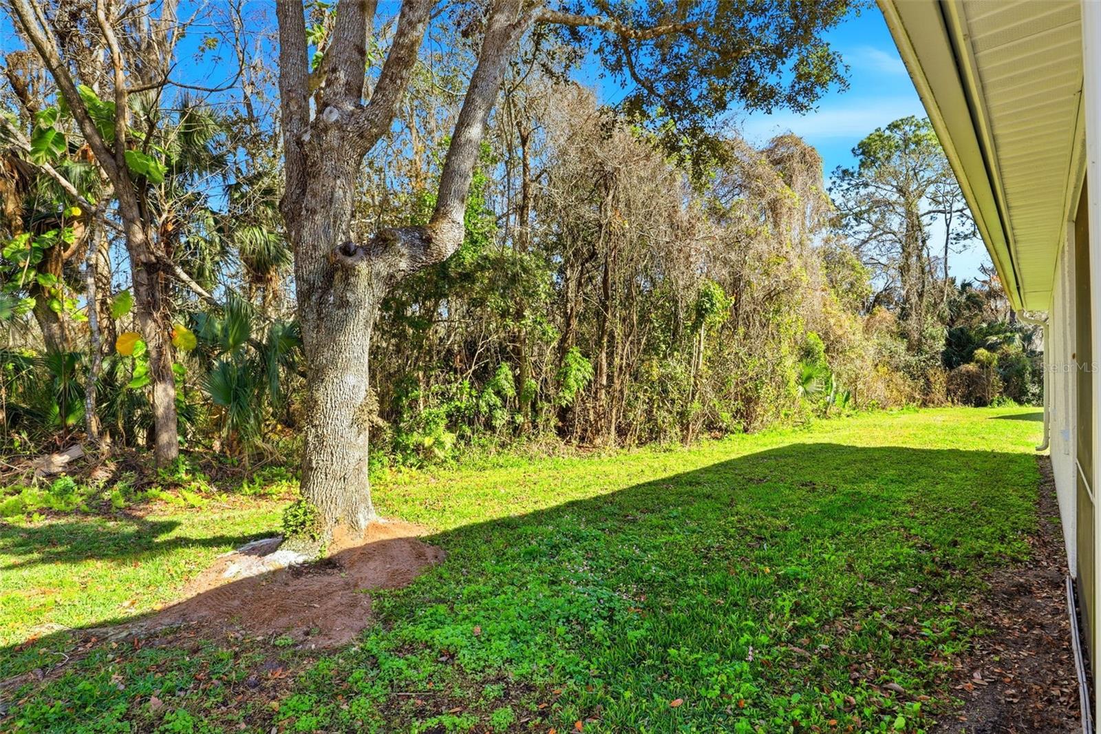 Image 41 of 44 For 104 Redtail Place