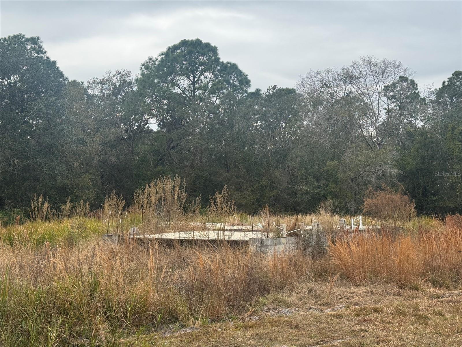 Details for 1443 Tern Court, POINCIANA, FL 34759