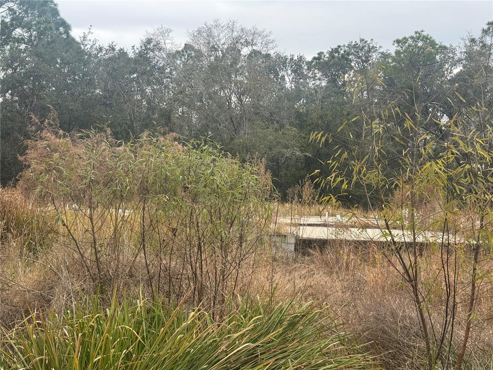 Image 2 of 23 For 1443 Tern Court