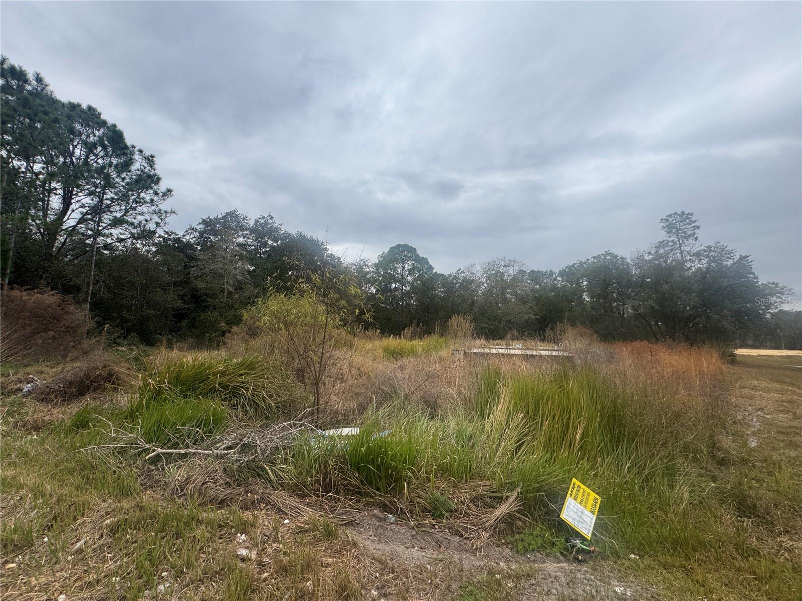 Image 3 of 23 For 1443 Tern Court