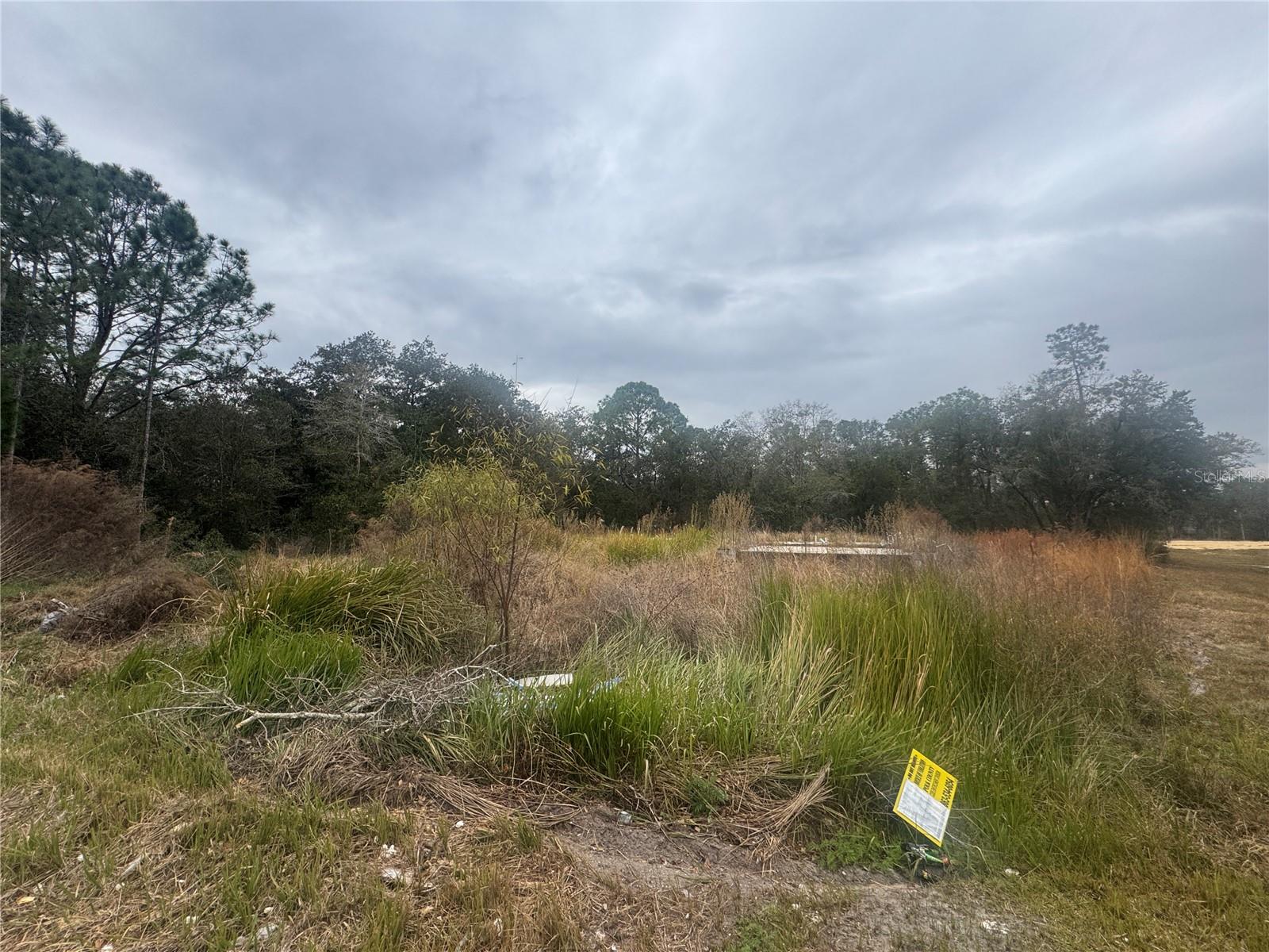 Image 4 of 23 For 1443 Tern Court