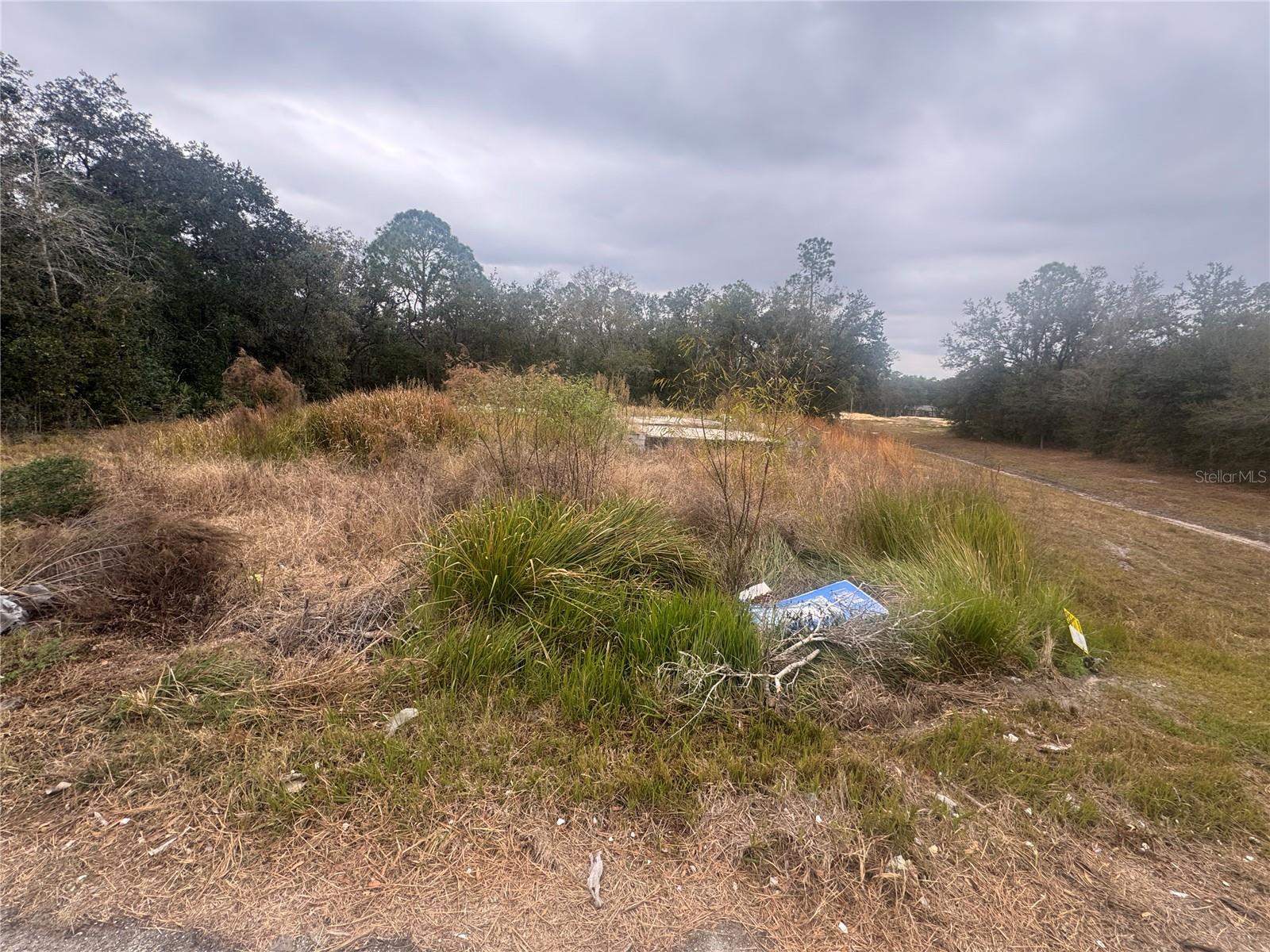 Image 5 of 23 For 1443 Tern Court