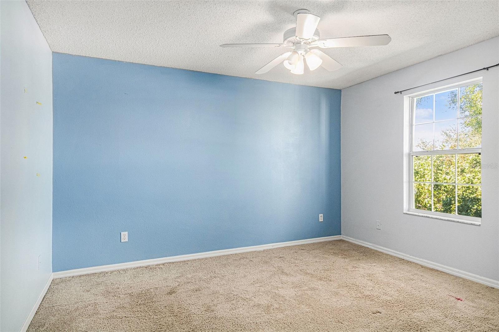 Image 19 of 24 For 895 Woodvale Street