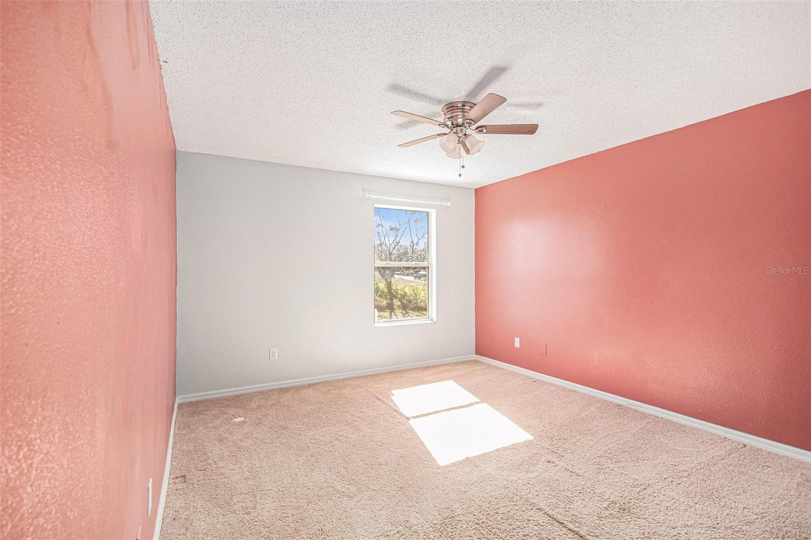 Image 24 of 24 For 895 Woodvale Street