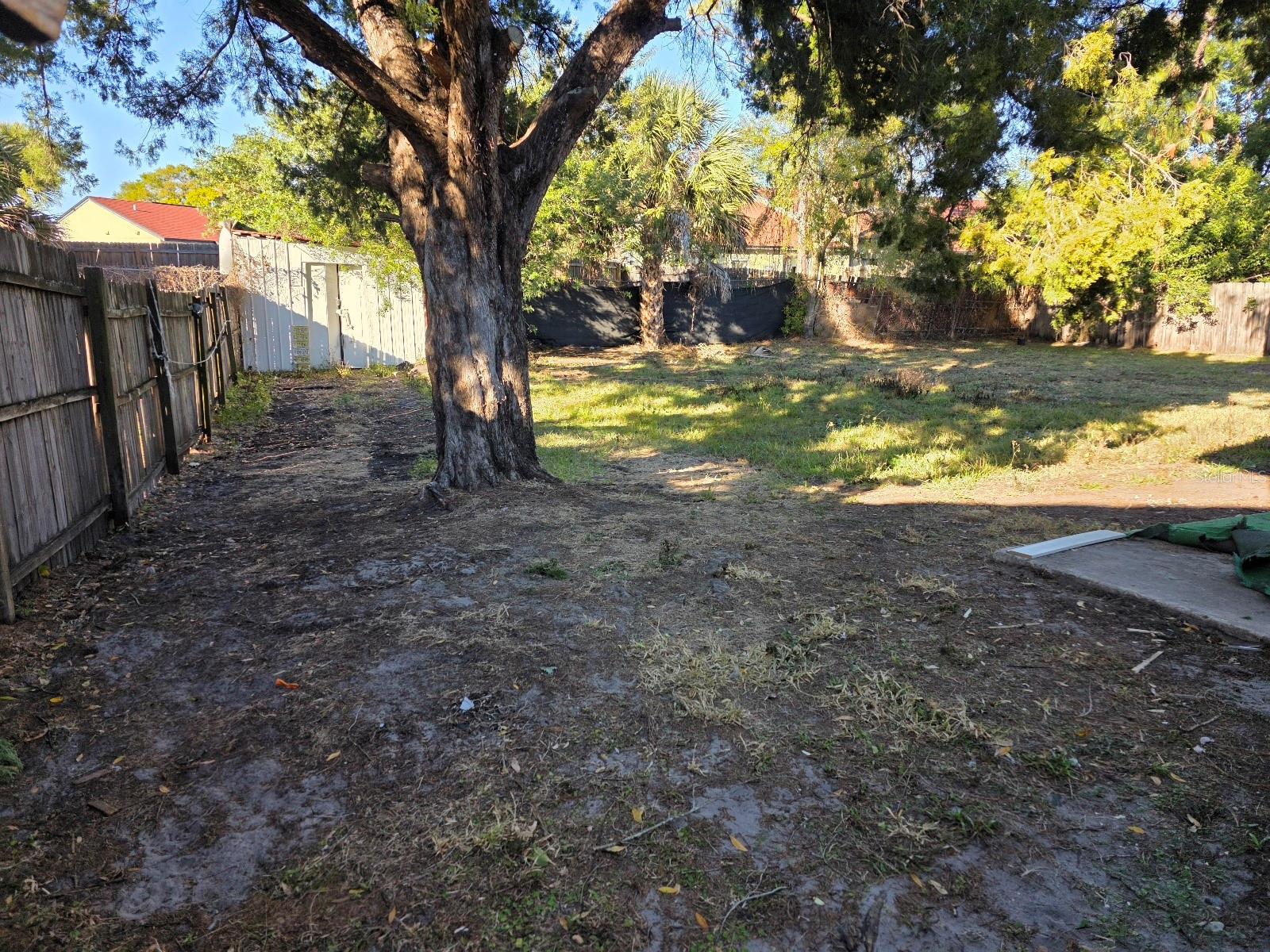 Image 11 of 12 For 6035 Oleander Drive