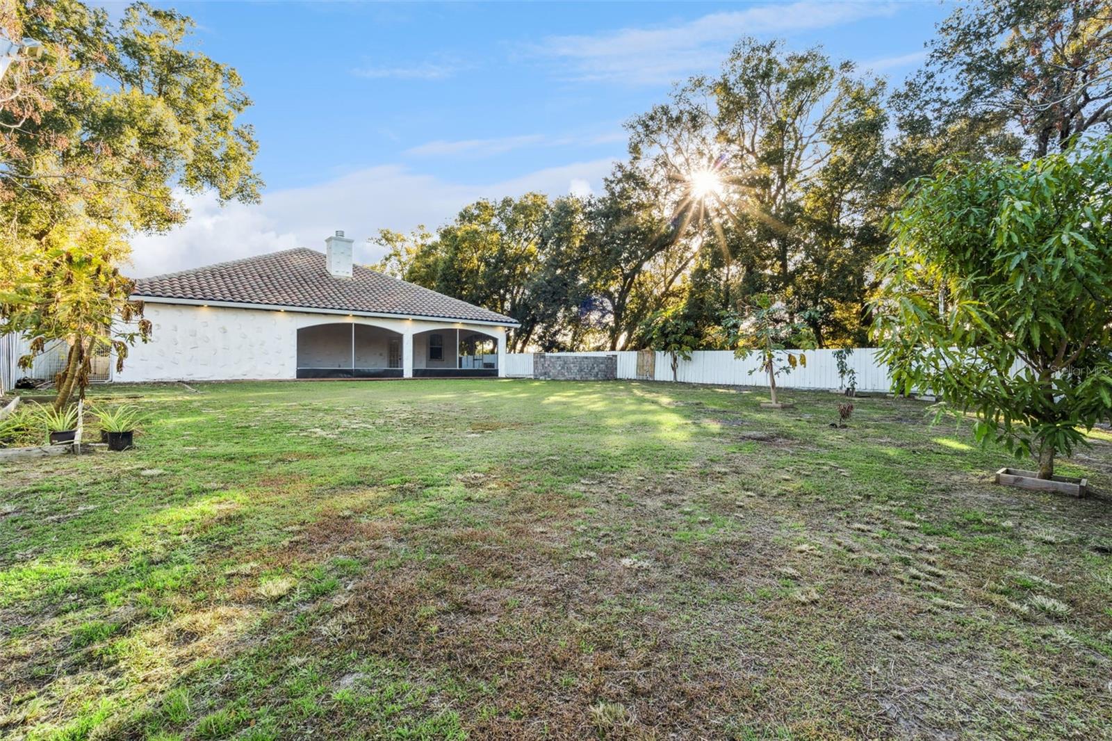 Image 33 of 36 For 20 Rewis Street