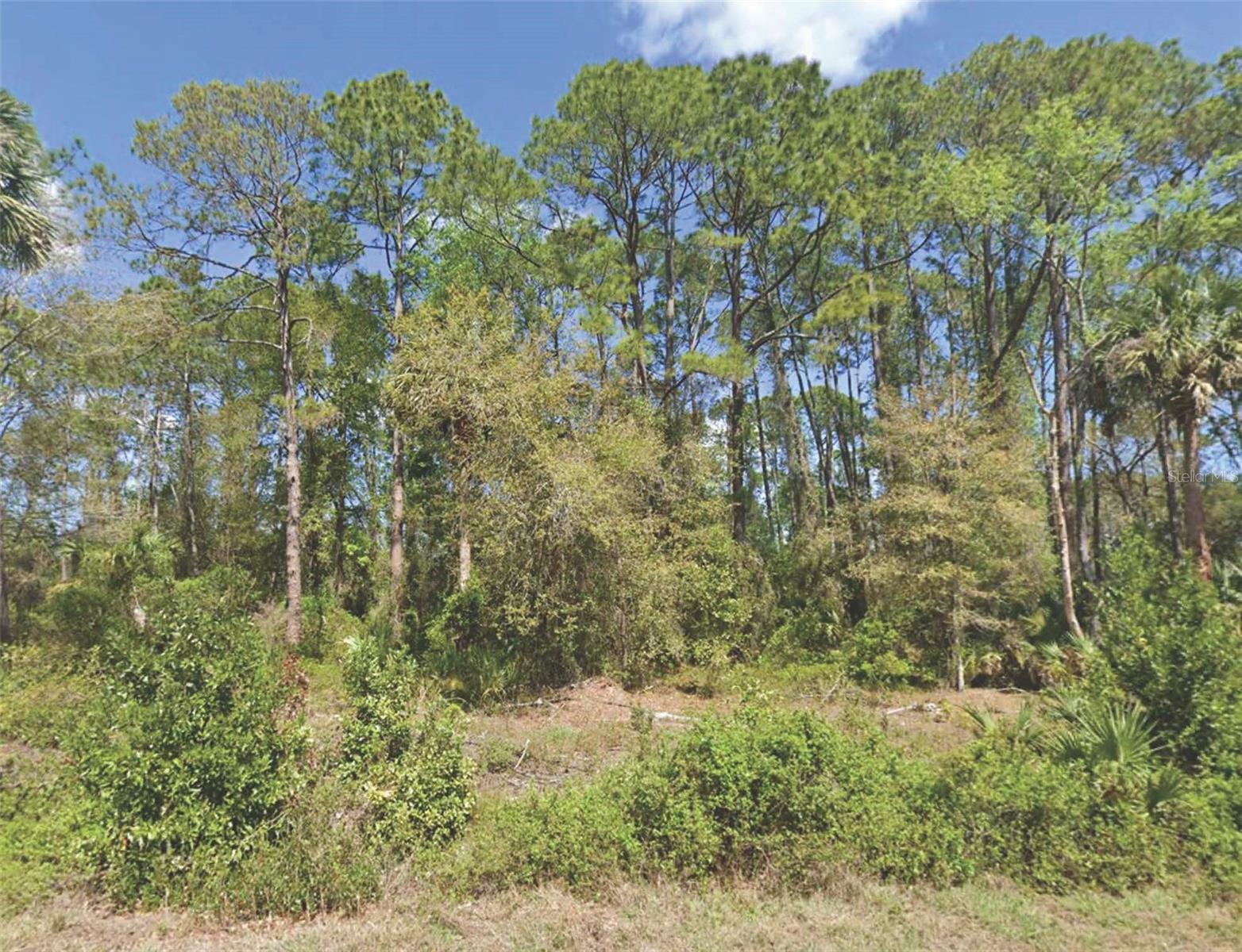 Details for 318 Redwood Boulevard, GEORGETOWN, FL 32139