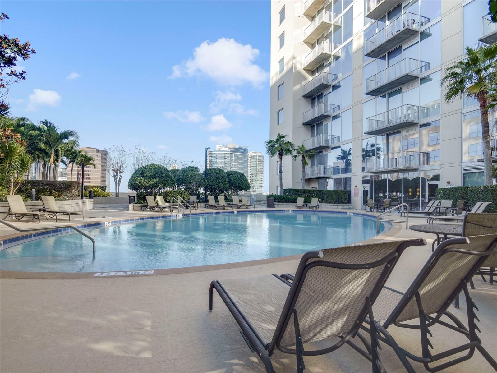 Image 37 of 50 For 155 Court Avenue 2716