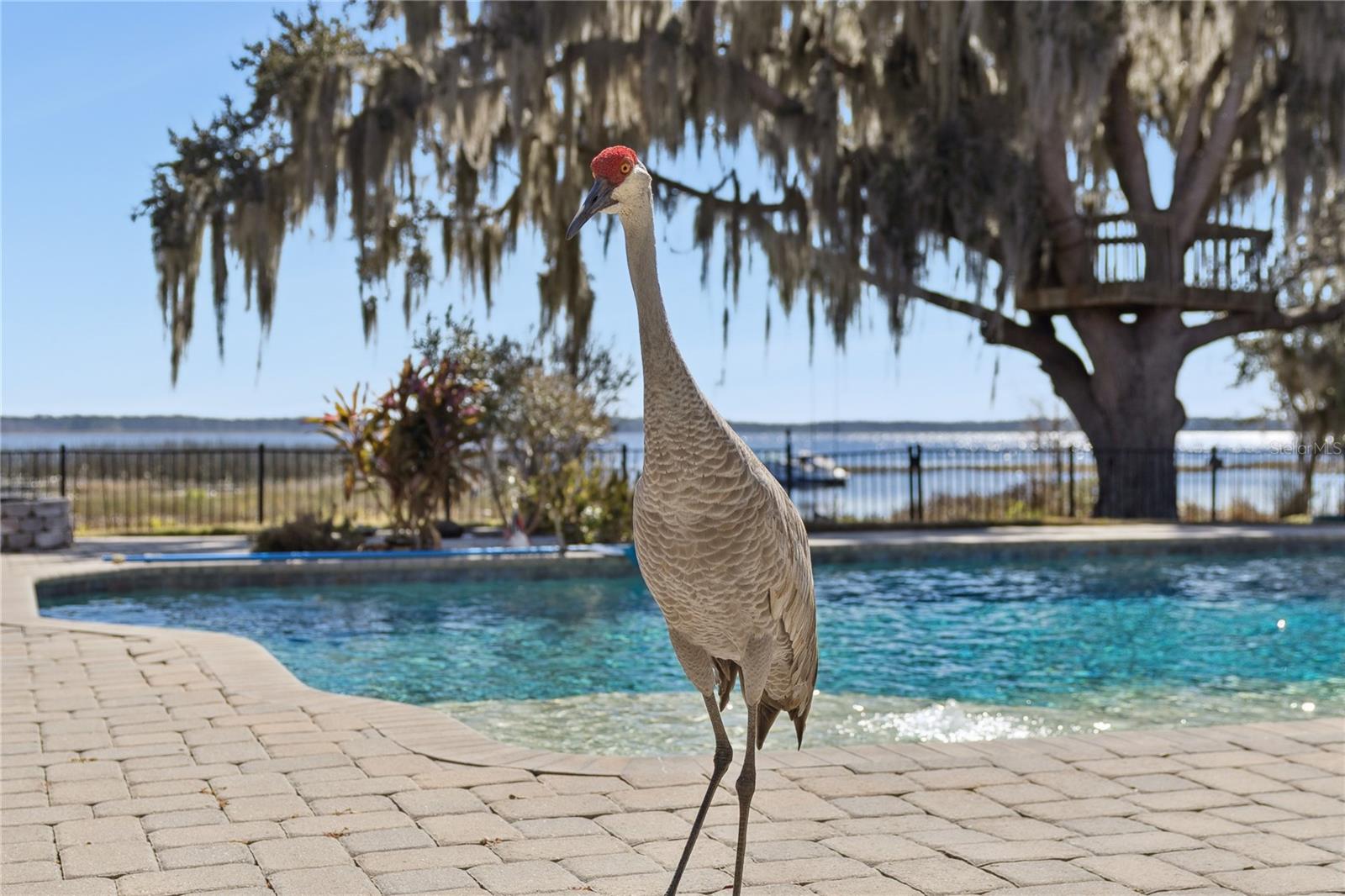 Image 47 of 54 For 10327 Hart Branch Circle