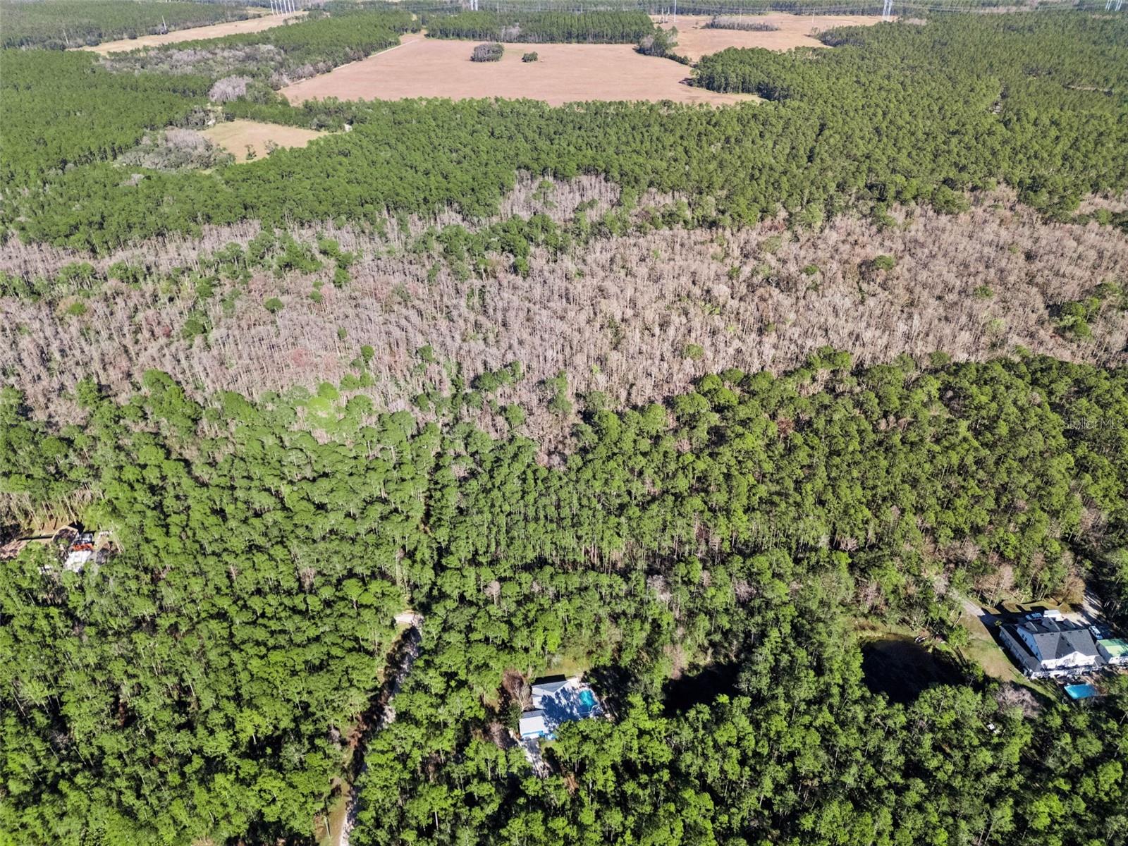 Image 58 of 62 For 3441 Hickory Creek Road