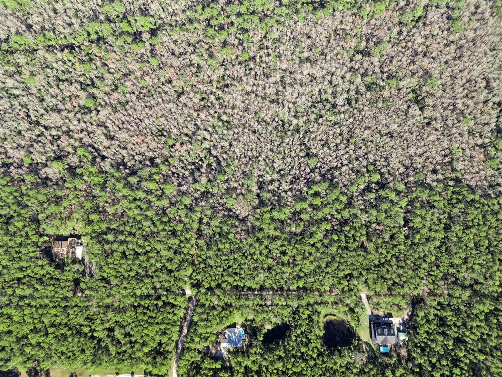 Image 59 of 62 For 3441 Hickory Creek Road