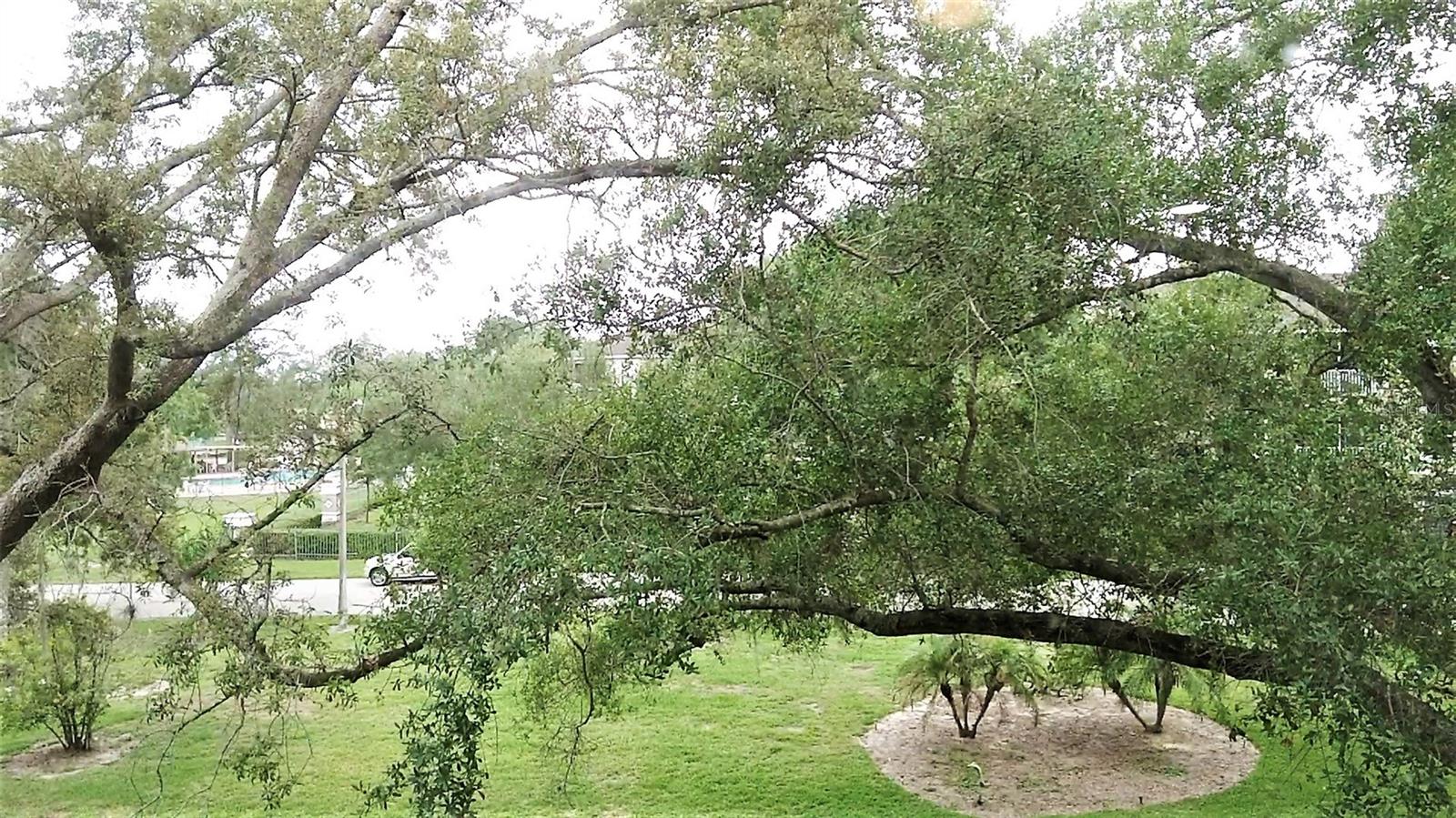 Image 10 of 35 For 1036 Bonaire Drive 2836