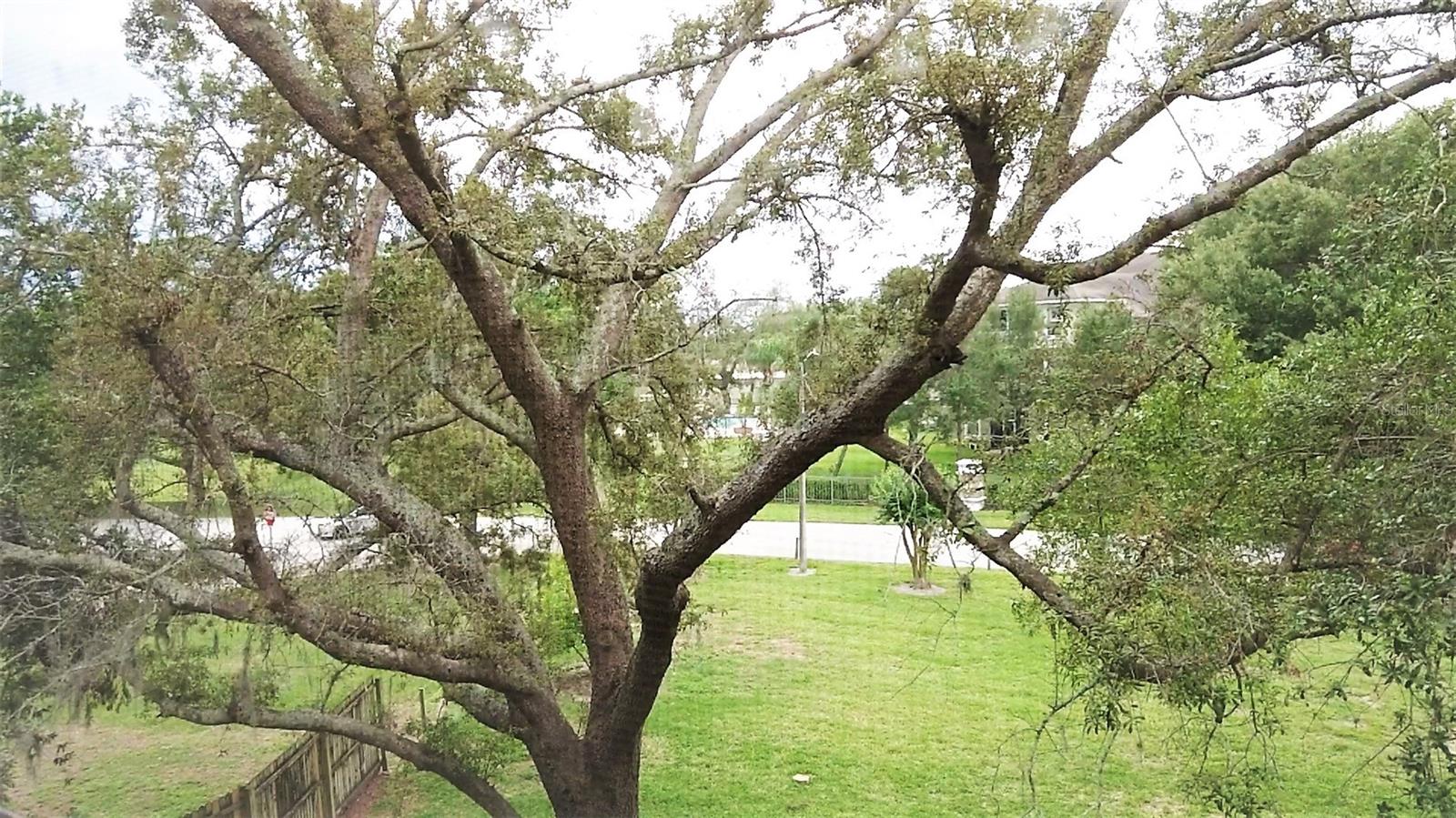 Image 9 of 35 For 1036 Bonaire Drive 2836