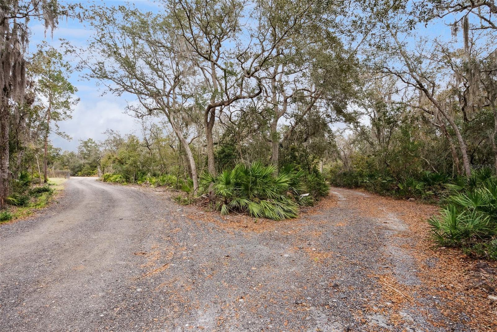 Image 42 of 60 For 160 Lush Lane