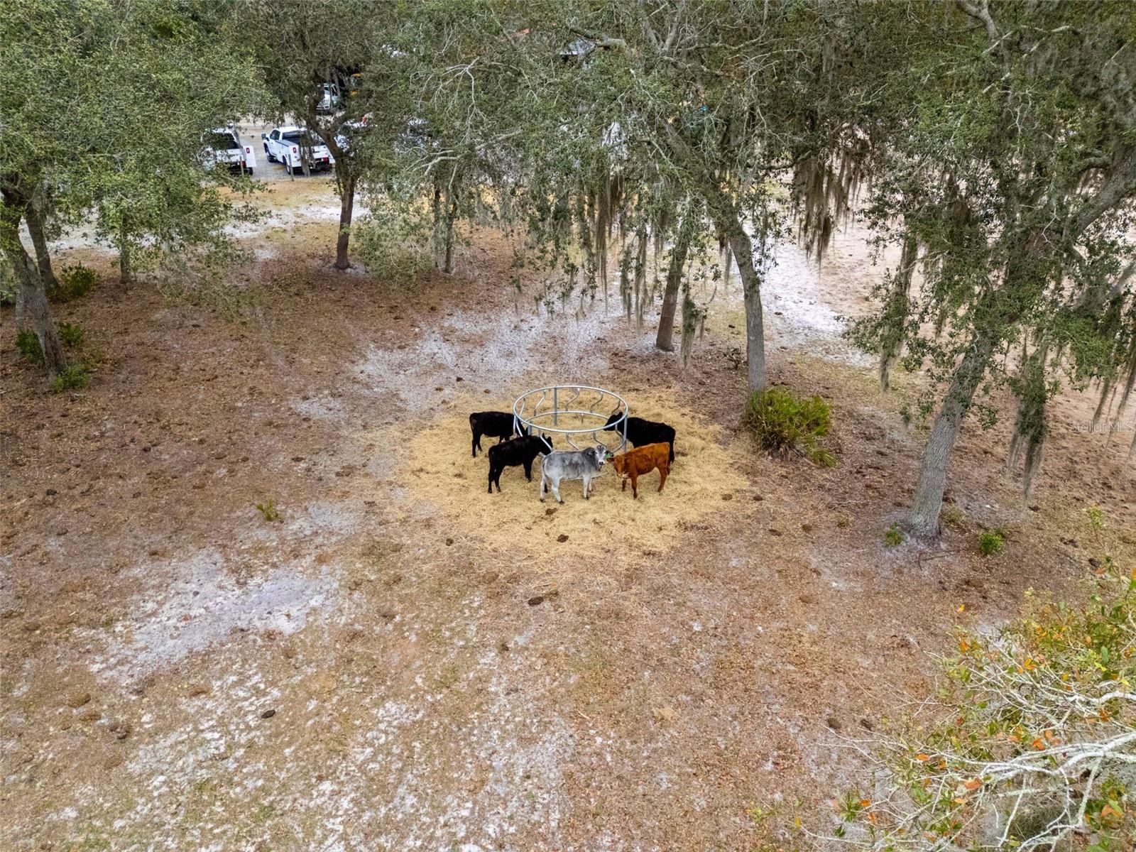 Image 44 of 60 For 160 Lush Lane