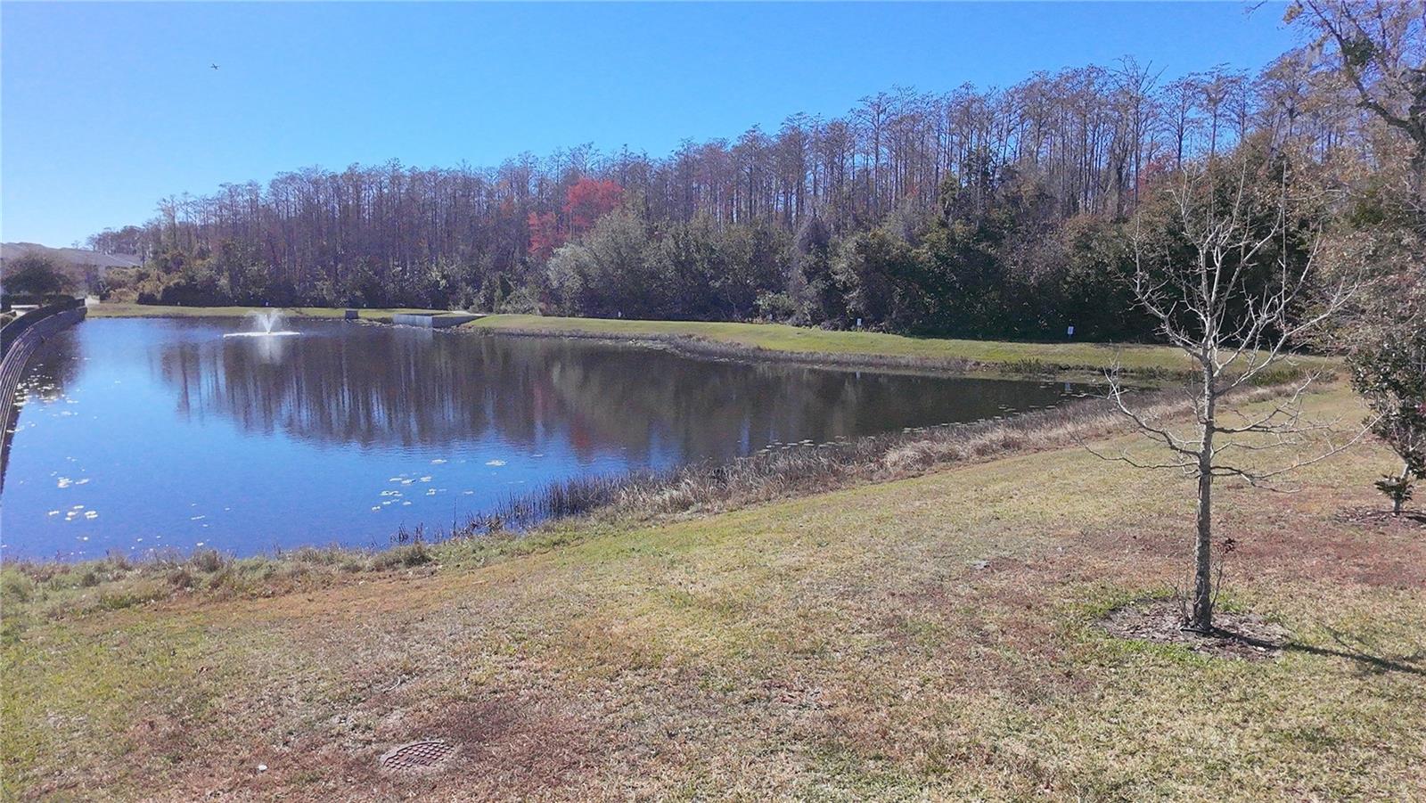 Image 24 of 38 For 6970 Tussilago Way