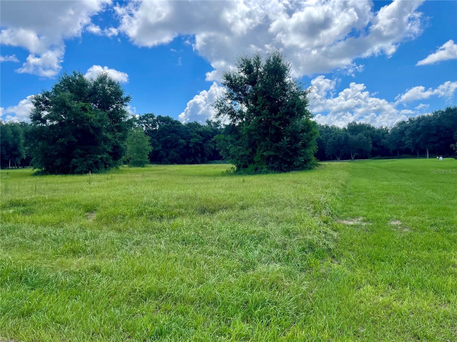 Image 5 of 9 For 18340 Great Blue Heron Drive