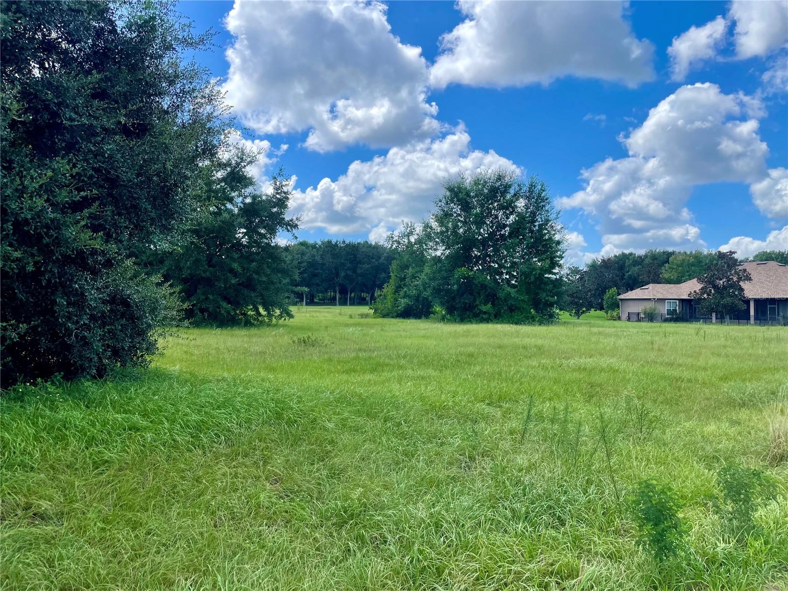 Image 8 of 9 For 18340 Great Blue Heron Drive
