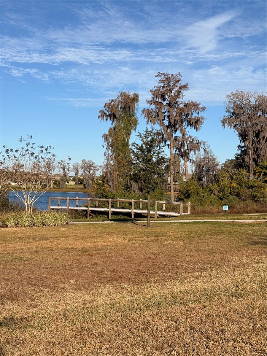 Image 22 of 33 For 12012 Holystone Street