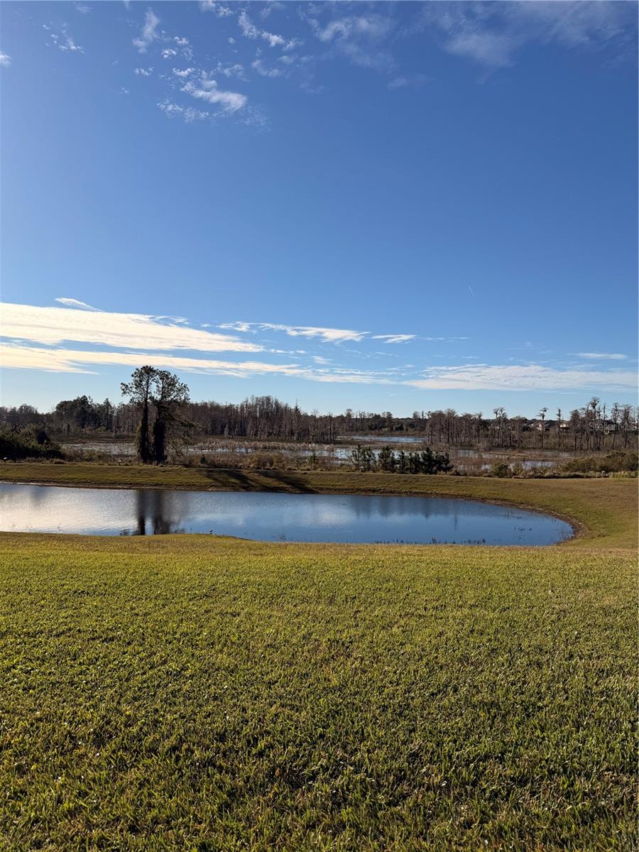 Image 23 of 33 For 12012 Holystone Street