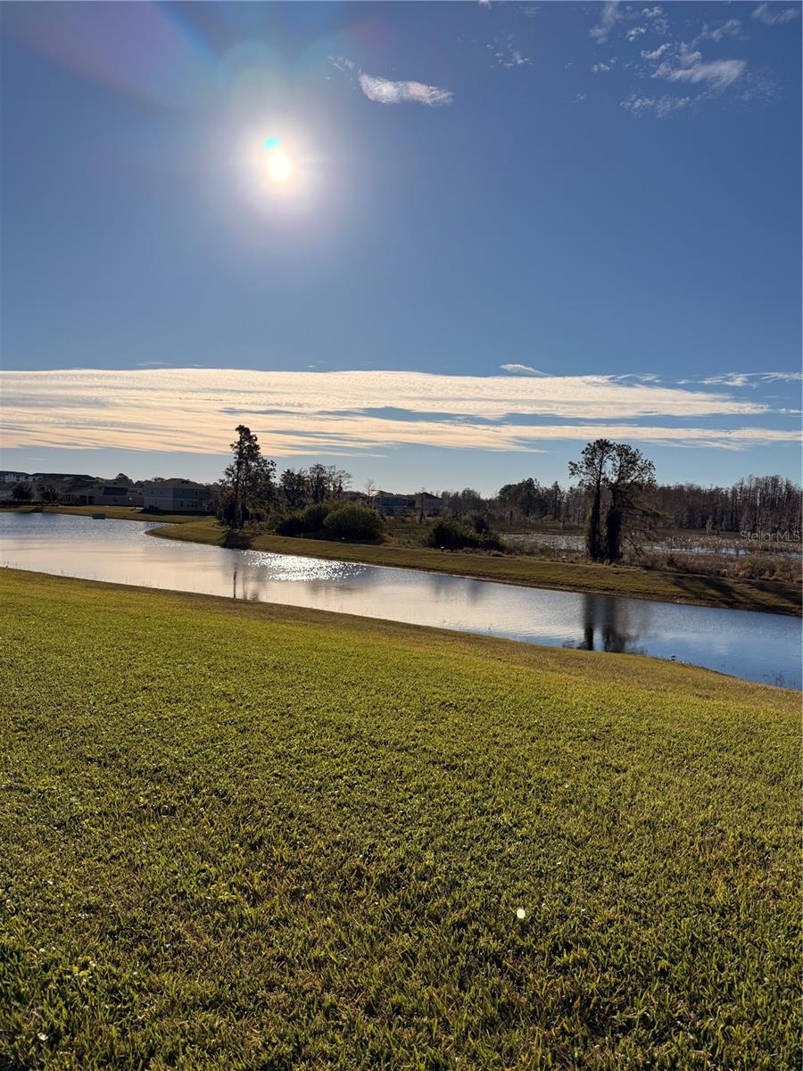 Image 24 of 33 For 12012 Holystone Street