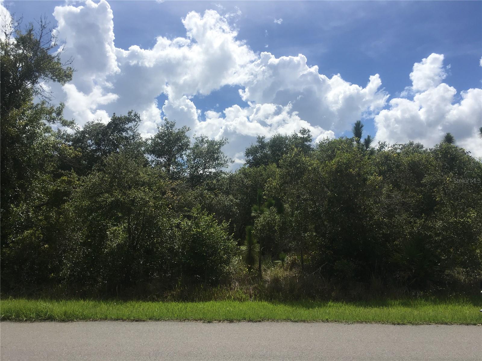 Image 4 of 6 For 237 Evergreen Street