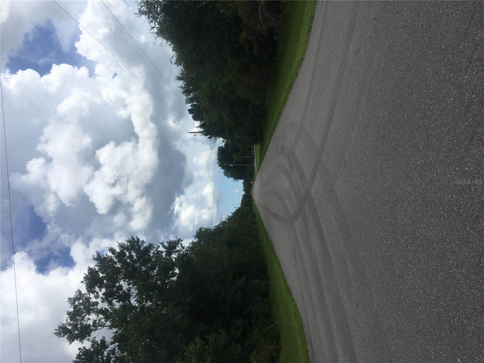 Image 5 of 6 For 237 Evergreen Street