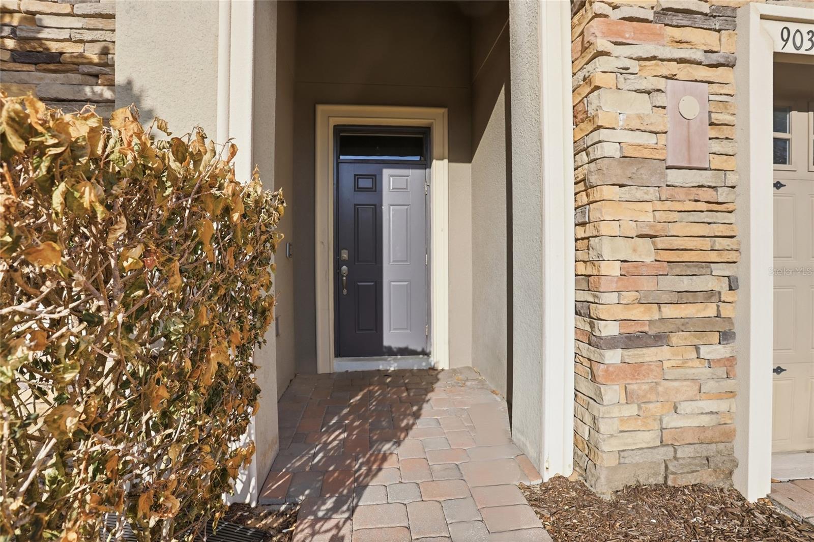 Image 42 of 60 For 9039 Shadow Mountain Street