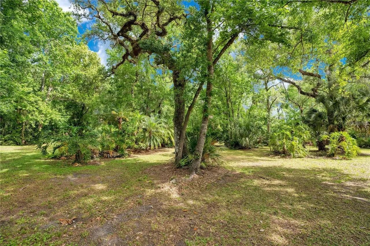 Image 34 of 37 For 120 Bahama Road