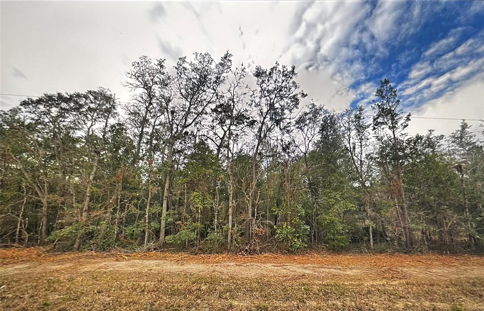 Image 3 of 3 For 0 Usina Avenue