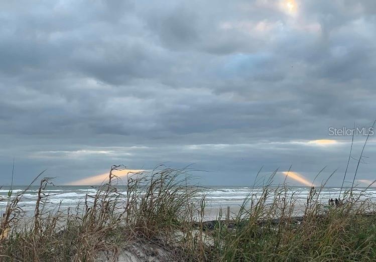 Image 12 of 18 For 813 Atlantic Avenue