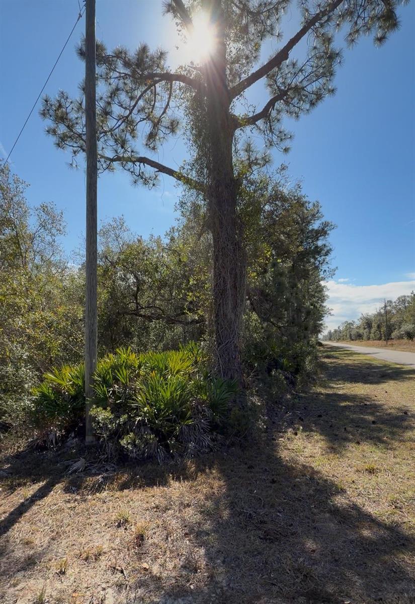 Image 3 of 14 For 923 Gaillardia Drive