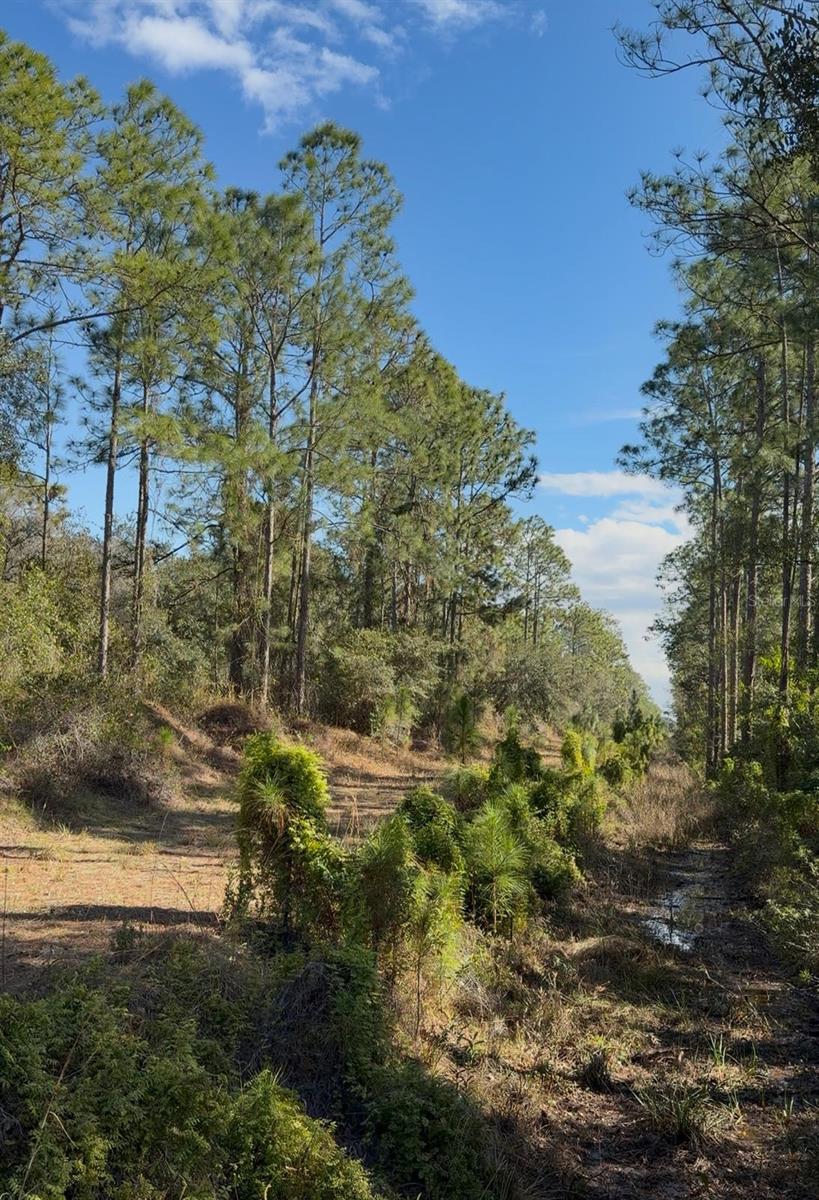 Image 6 of 14 For 923 Gaillardia Drive