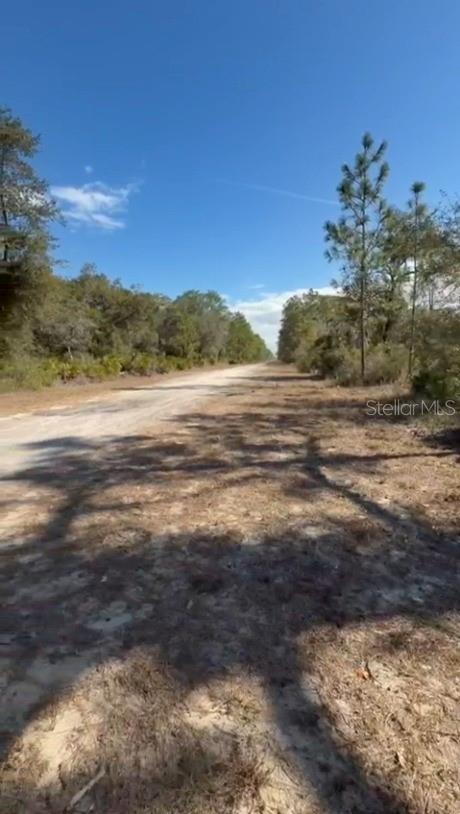 Image 7 of 14 For 923 Gaillardia Drive