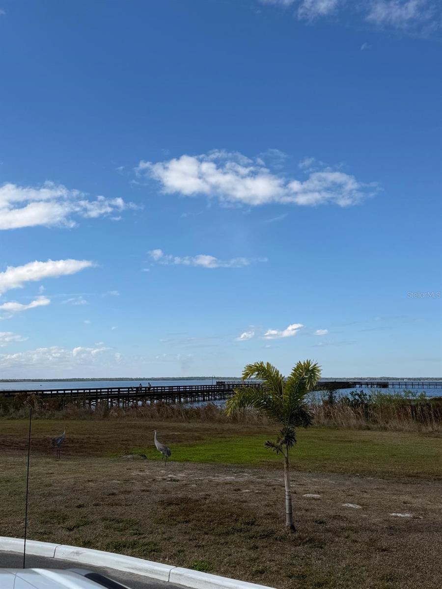 Image 9 of 14 For 923 Gaillardia Drive