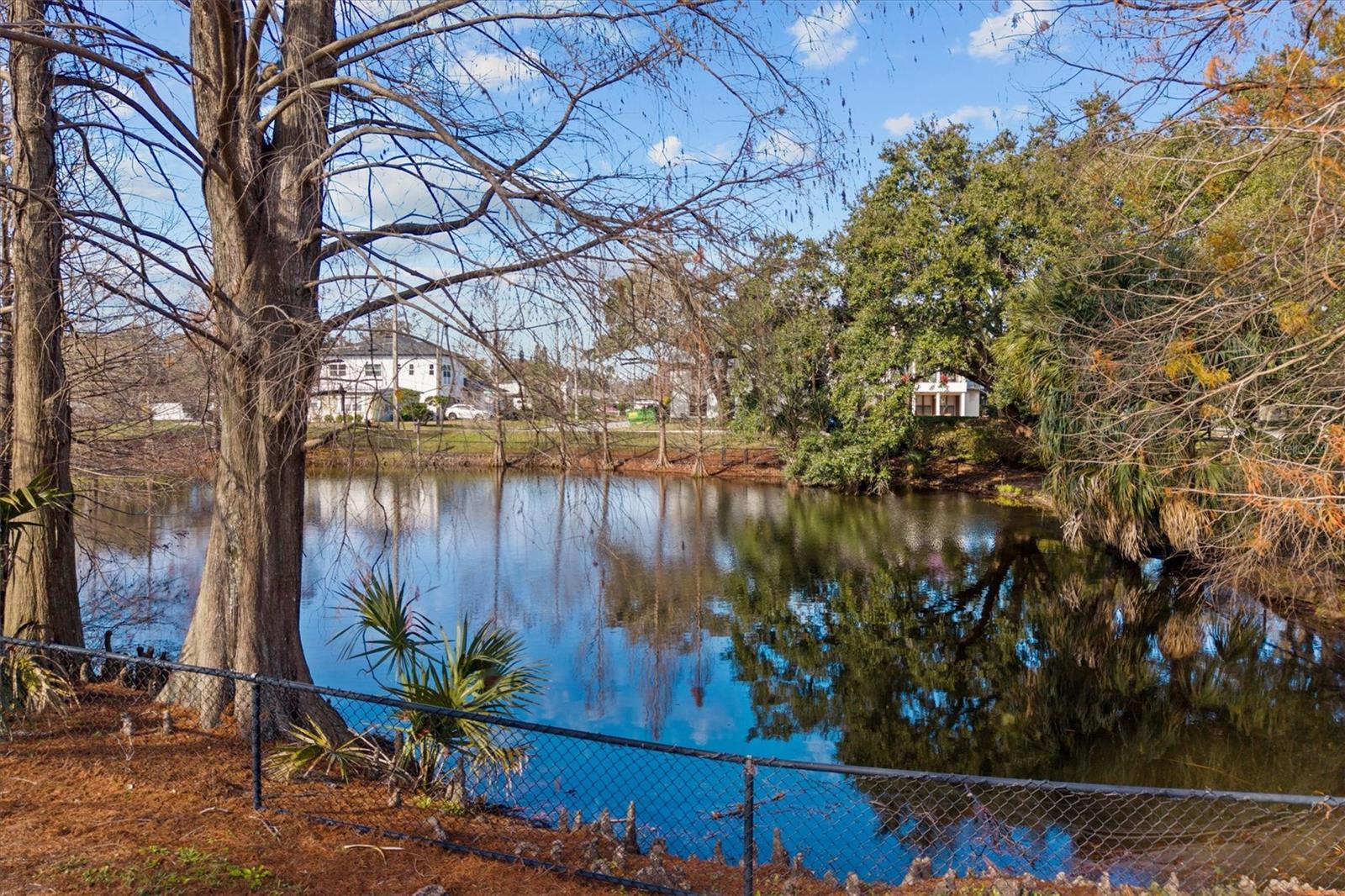 Image 67 of 72 For 1135 Shady Lane Drive