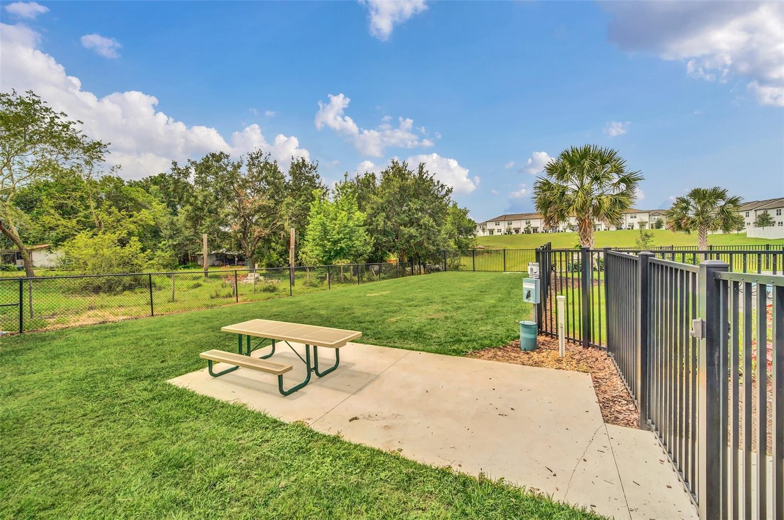 Image 24 of 26 For 246 Mandovi Street