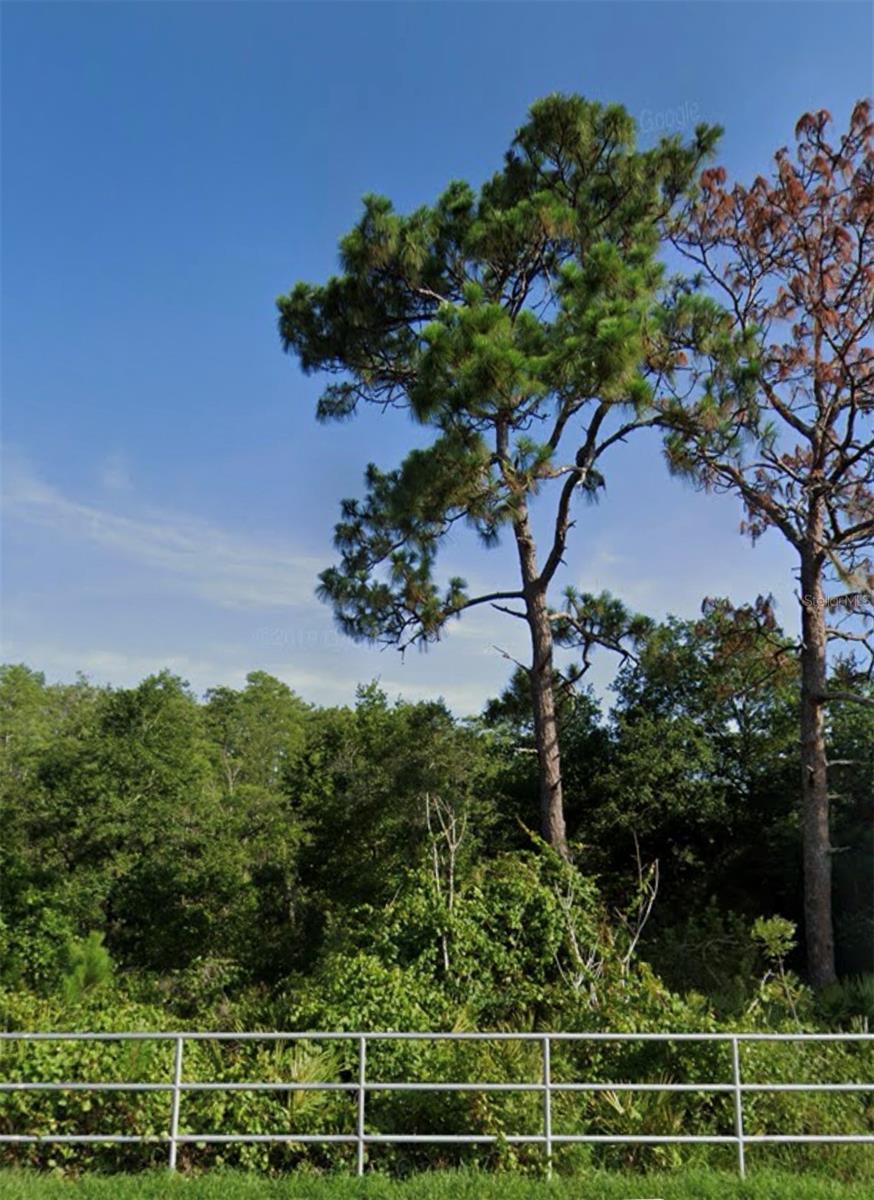 Image 4 of 4 For 14370 Summerlake Park Boulevard