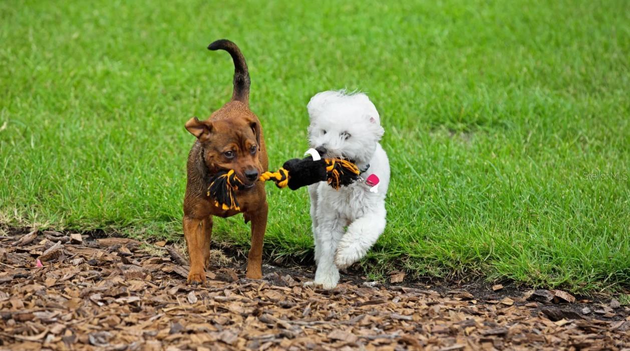 Image 31 of 32 For 57 Enclave Avenue