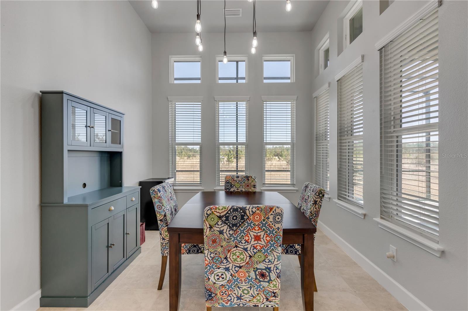 Image 10 of 33 For 246 Azure Mist Way