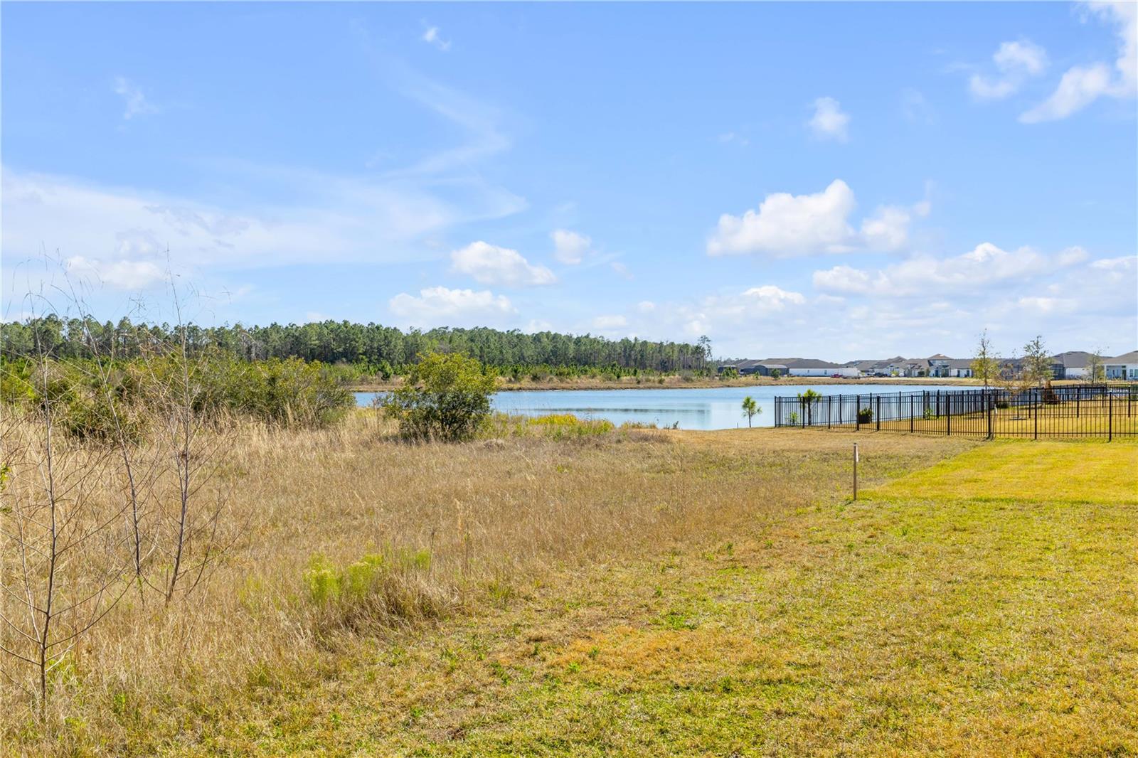 Image 27 of 33 For 246 Azure Mist Way