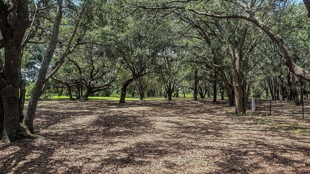 Image 34 of 36 For 7643 Waterscape Drive