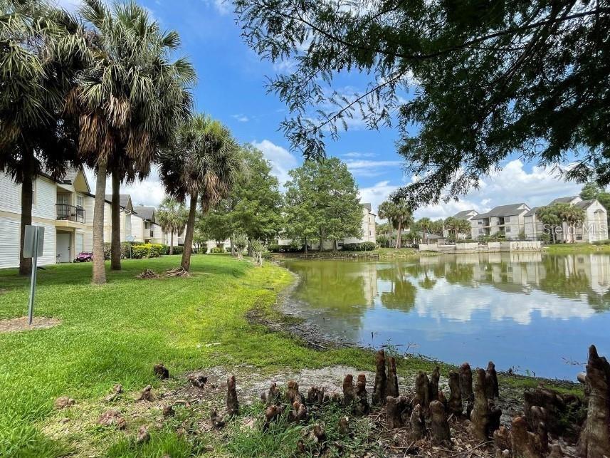 Image 22 of 25 For 1948 Lake Atriums Circle 127