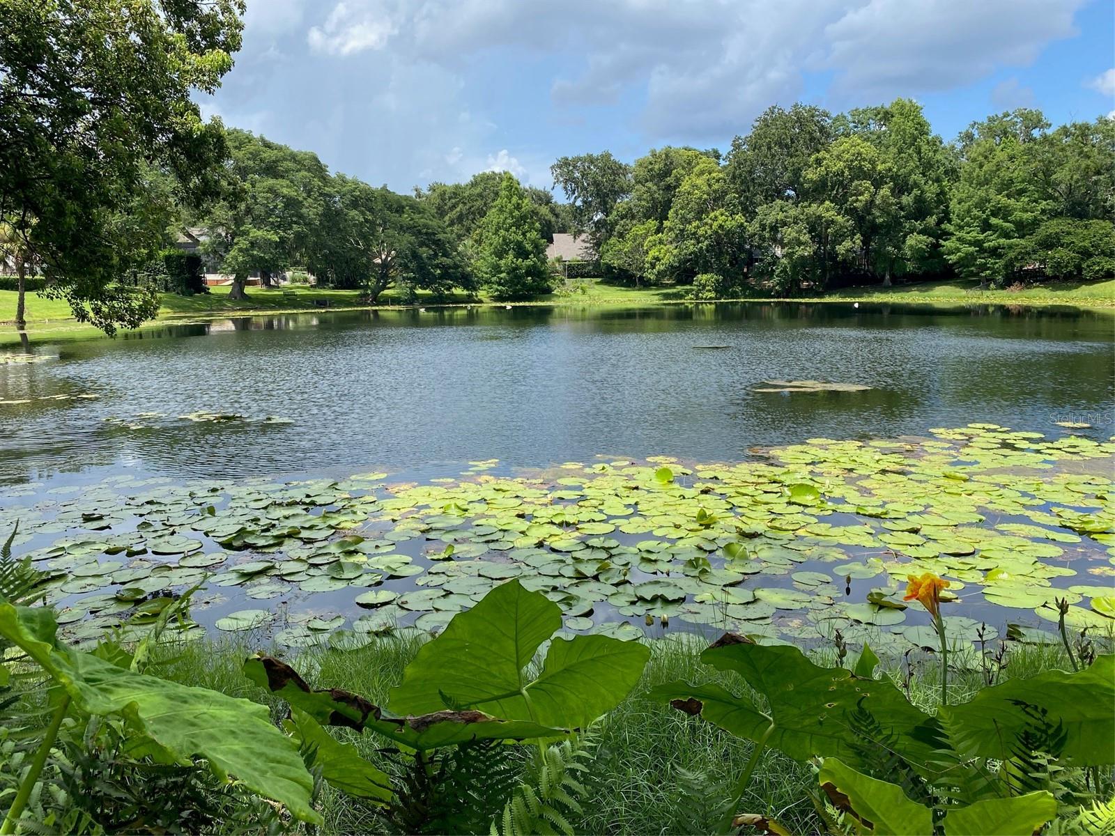 Details for 1113 Via Del Mar, WINTER PARK, FL 32789