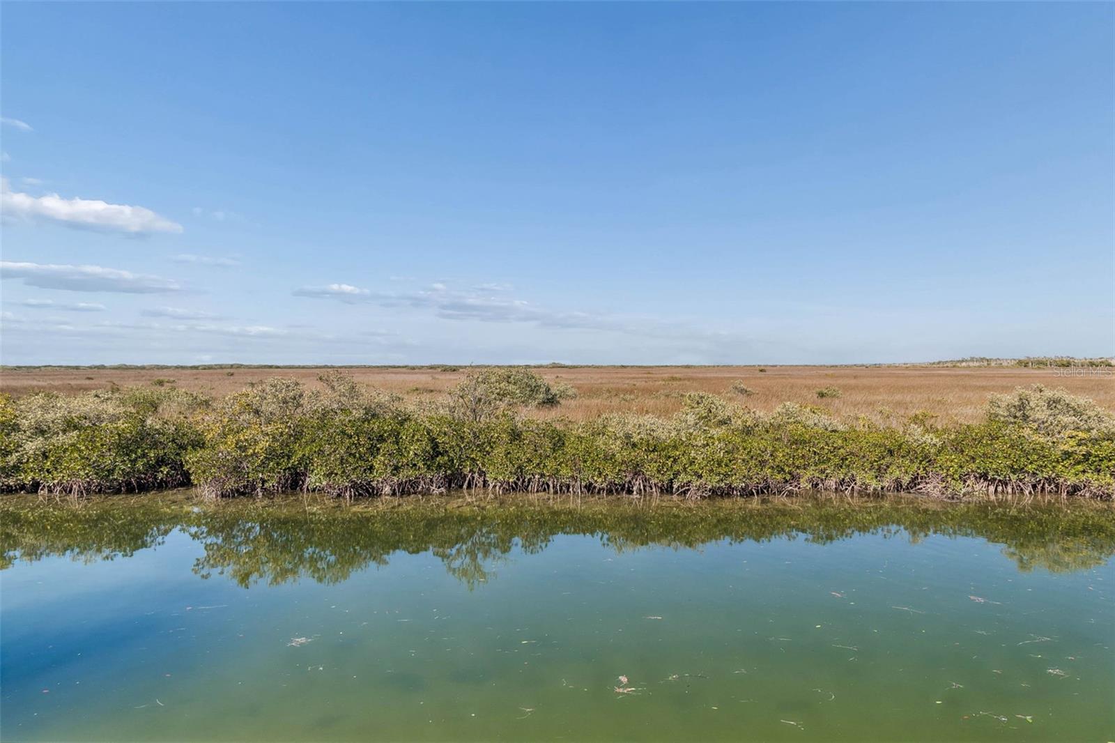 Image 74 of 100 For 15722 Donzi Drive