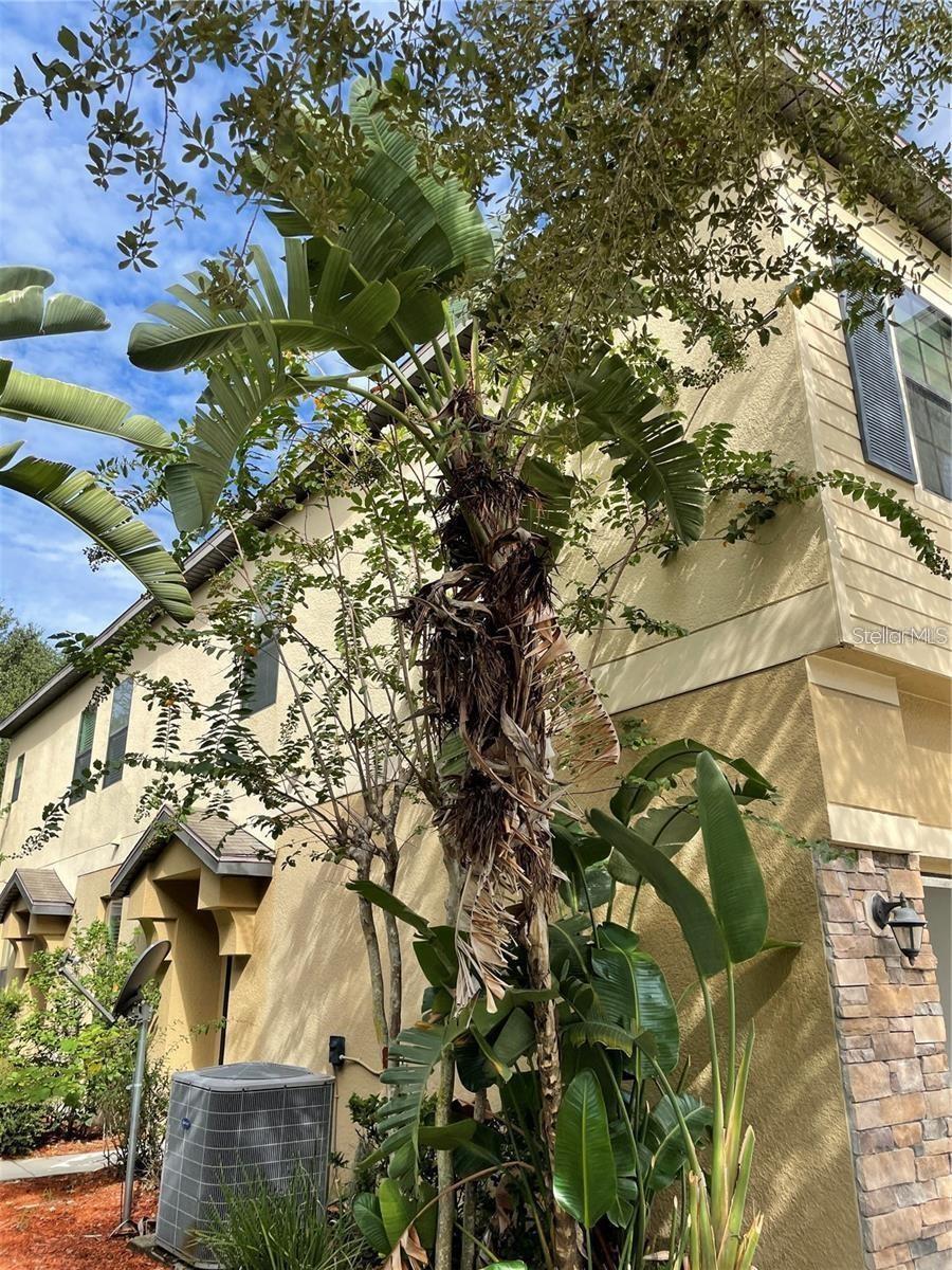 Image 26 of 36 For 3408 Seneca Club Loop A