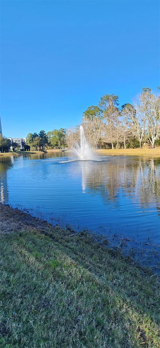 Image 40 of 61 For 14501 Grove Resort Avenue 2138