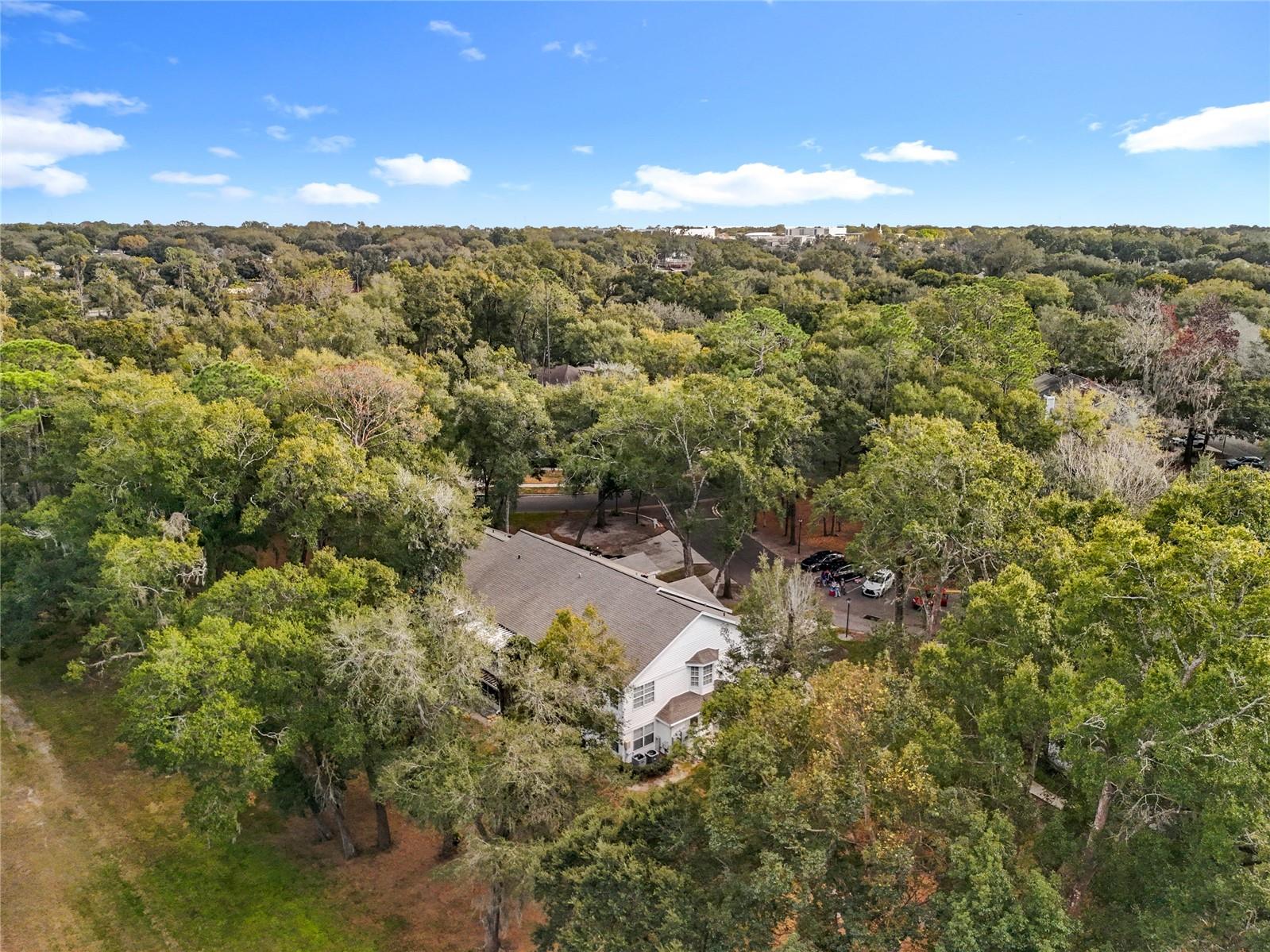 Image 44 of 46 For 1050 Loch Vail  21