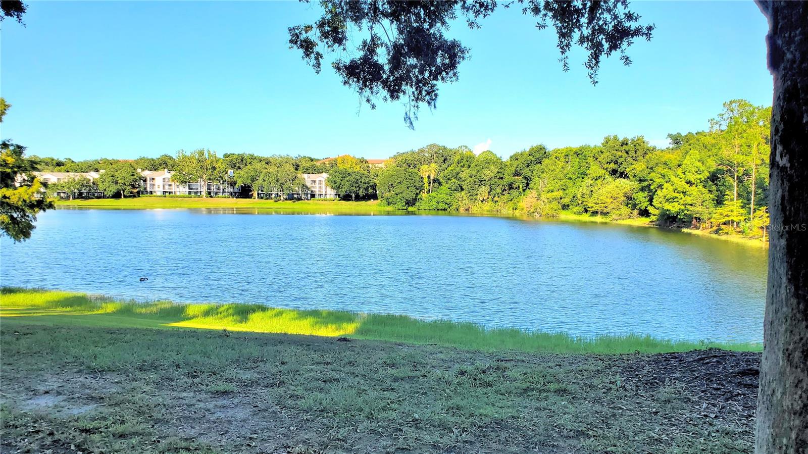 Image 20 of 20 For 1079 Hiawassee Road 1114